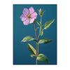 Vintage Botanical Wall Art, Western Floral Canvas Painting, Flower Aesthetic Poster Print for Bedroom Living Room Wall Decor