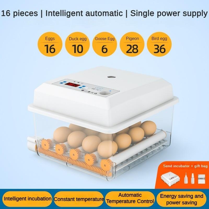 50 Вт бытовой полностью автоматический инкубатор небольшой цифровой экран дисплея инкубатор для яиц интеллектуальный инкубатор непрерывного действия с постоянной температурой