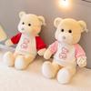 Cartoon Sweatshirt Bear Plush Toys Children's Birthday Gift Dressing Couple Bear Pillow Grabbing Machine Doll Activity