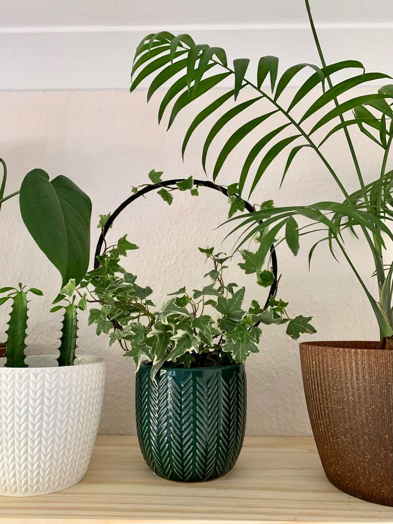 Podpora do roślin pnączy podpórka kwiatów pnących pergola drabinka l 34 cm