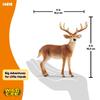 Schleich Wildlife Deer Ages Realistic Animal Toy 14818 White-tailed (Male) Figurine, 3+,