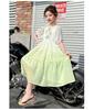 Girls' Chiffon Dress Summer 2026 New Children's Sweet Princess Dress Big Children's Summer Dress Thin Gradient Skirt