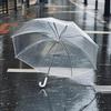 Прозрачный зонт с длинной ручкой в корейском стиле - 8 спиц для мужчин и женщин, идеально подходит для студентов и модных фотографий