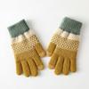 Windproof Touch Screen Gloves Thickened Wool Gloves Fashion Winter Knitted Gloves  for Men Women