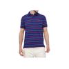 Polo Ralph Lauren Полосатый свитер Прямой Повседневный короткий рукав Поло Рубашки Мужские Поло Рубашки Синий 710910519-001