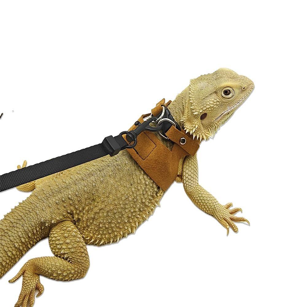 Leather Rat Harness and Leash Set 3 Sizes Vests Reptile Harness Kit  For  Squirrels, Hamsters