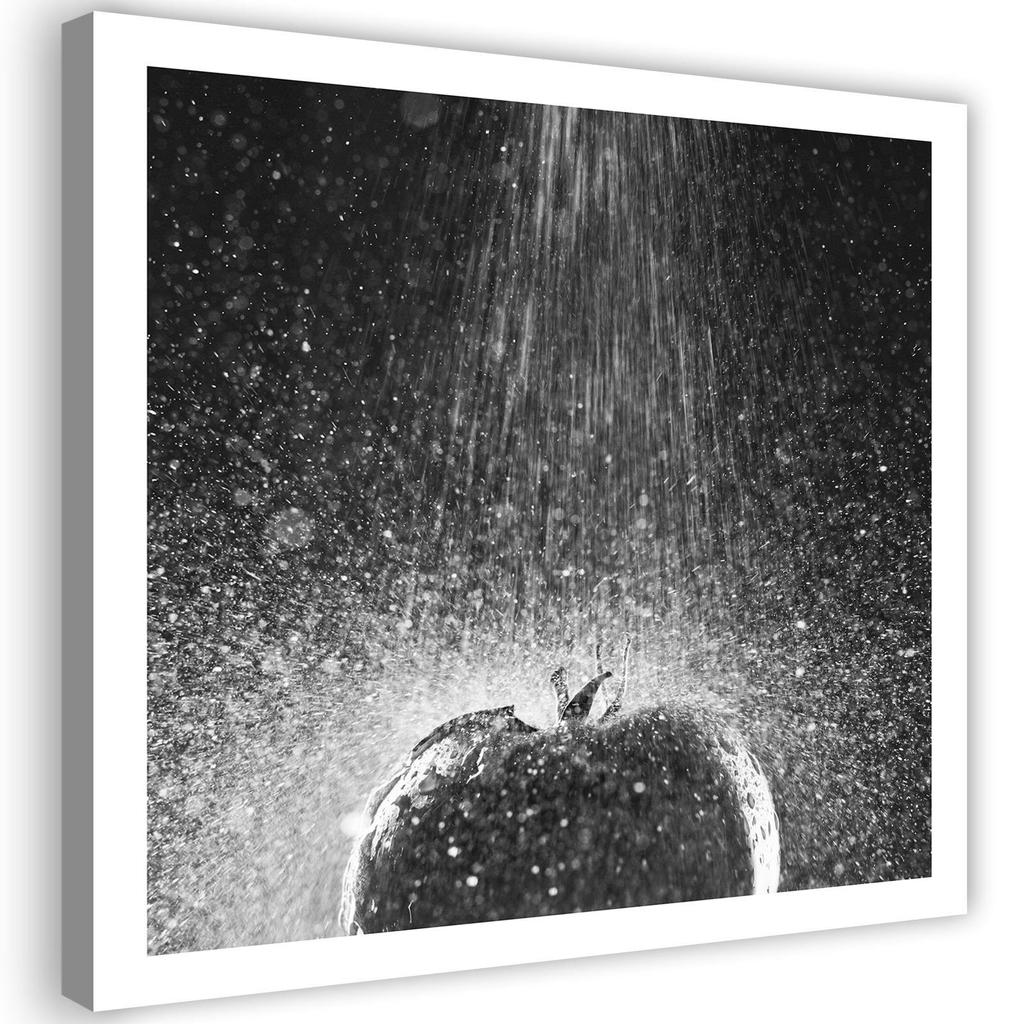 Canvas print, Tomato in a stream of water nature