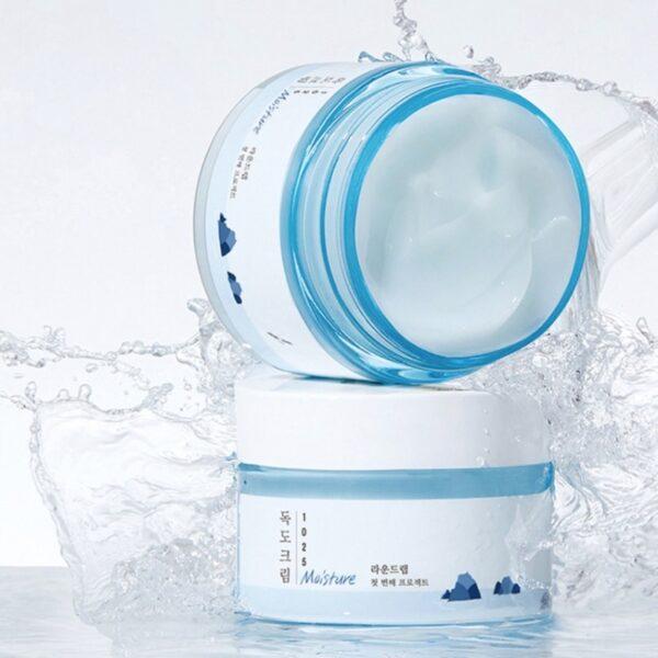 ROUND LAB 1025 Dokdo Moisture Cream 50ml AUTHENTIC STORE