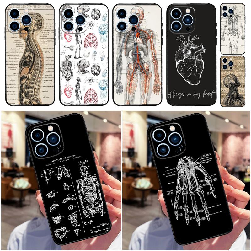 Медицинский Человеческие Органы Мозг Чехол для Телефона Для iPhone 16 15 13 12 11 14 Pro Max Mini X XR XS MAX 14 Plus Чехол