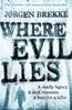 Книга Where Evil Lies