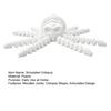 Simulated Skeleton Octopus Figurine Movable Joints Octopus Figure Articulated Sea Animal Model