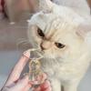 Бутылка для хранения кошачьей шерсти Прозрачный брелок для хранения шерсти питомца для коллекционирования