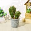 Прочный искусственный кактус, декоративный меламин, полезный