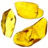 Stone Natural Fossil Baltic Amber with Insects of [N2 Natural] (Set 3)