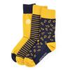Pack of 3 Pairs of Men's Socks SERGE BLANCO