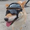 Comfortable Dog Sports Helmet Goggles Set with Shock Absorption Easy to Wear Design for Pet Outdoor Mountain Climbing