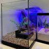 Aquarium Underground Tunnel Fish & Shrimp Hideout for Aquariums Unique Underground Viewing Tunnel Co