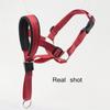 Dog Muzzle Adjustable Anti-bite Mask Pet Traction Set Dog Muzzle Training With Pet Muzzle