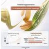 Kangaroo Mommy Пшеничная эссенция для беременных женщин