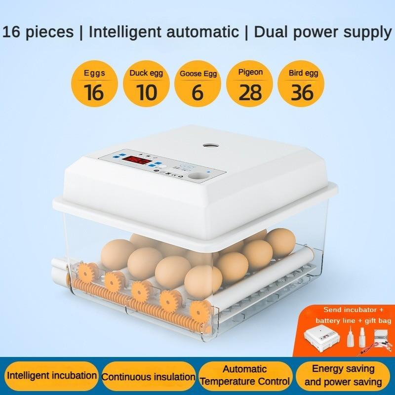 50 Вт бытовой полностью автоматический инкубатор небольшой цифровой экран дисплея инкубатор для яиц интеллектуальный инкубатор непрерывного действия с постоянной температурой