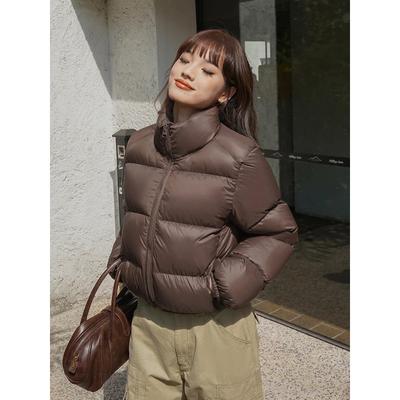 Уличная одежда, толстые короткие парки, женские модные зимние теплые пуховые пальто с модными карманами, хлопковая подкладка, женская повседневная пуховая куртка