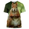 Men Summer Cute Fun Animal Squirrel Figure 3d Printed T-Shirt Casual Personality Comfortable Plus Size O Neck Short Sleeve