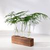 Transparent Glass Hydroponic Plants Container 3/4/5 Test Glass Tube Vases Test Tube Vases  Weddings