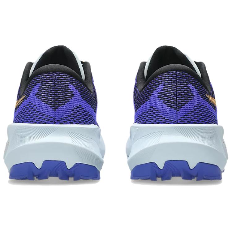 Asics Мужские кроссовки для трейлраннинга Gel Trabuco 14 Фиолетовые 1011C166-400