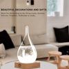 Luxury Home Decor Storms Glass Weather Predictor Elegant Decoration Storms Cloud Weather Predictor