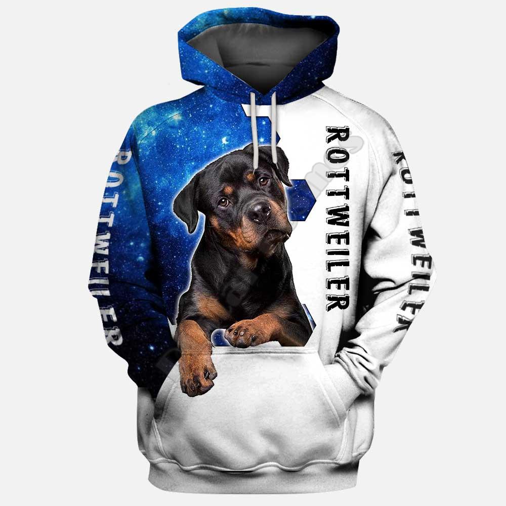 Saint Bernard 3D Printed Hoodies Funny Pullover Men For Women Funny Sweatshirts Animal Sweater Drop Shipping