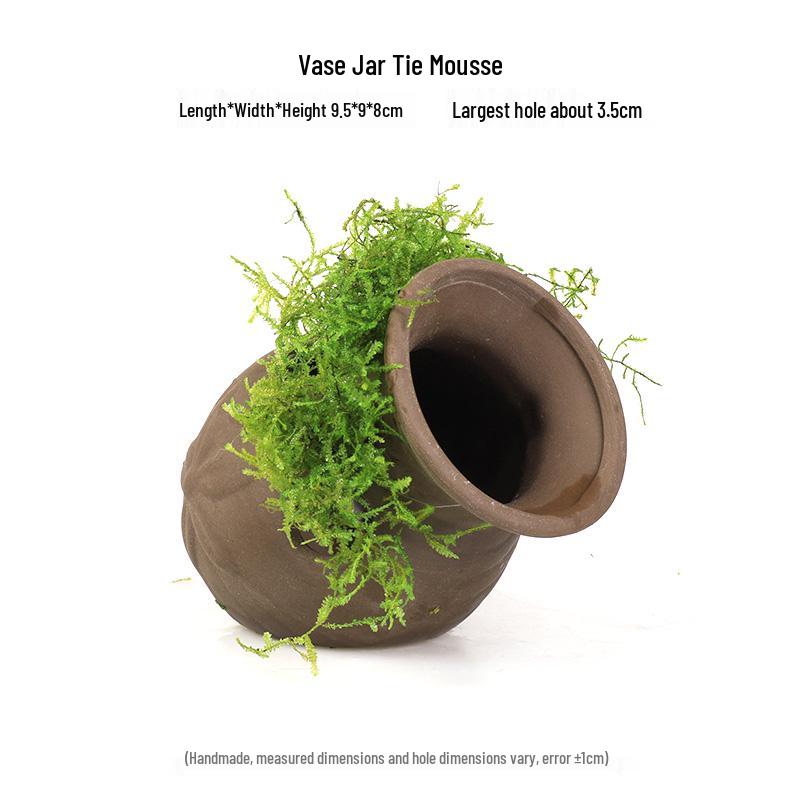 Aquatic Plant Moss Hideaway: Real Plant Jar for Fish & Shrimp