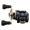 DAIWA 21 Saltiga IC 100PL-DH