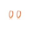 2Pcs Silver/ Rose/Gold Color Mini Hoop Cartilage Helix Earring Conch Piercing Rook Snug Piercing Earring Nose Piercing Rings