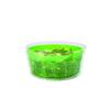 Chilis Salad Spinner Swift Dry Salad Spinner (Small) E940015
