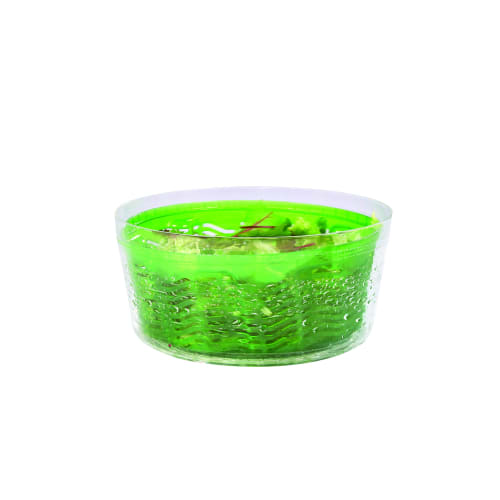 Chilis Salad Spinner Swift Dry Salad Spinner (Small) E940015