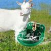 Plastic Sheep Water Fountain Green Sheep Liquid Drinker Sheep Goat Drinker Bowl Cow