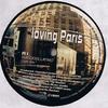 12-дюймовая пластинка LOVING PARISLOVING PARISREAD MOR  Success Latino IMMENSE002 Immense Music 2001 Франция Танцевальная  Электроника Б/У