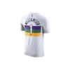 Nike Мужская футболка Dri-Fit NBA New Orleans Pelicans, белая BV8780-106