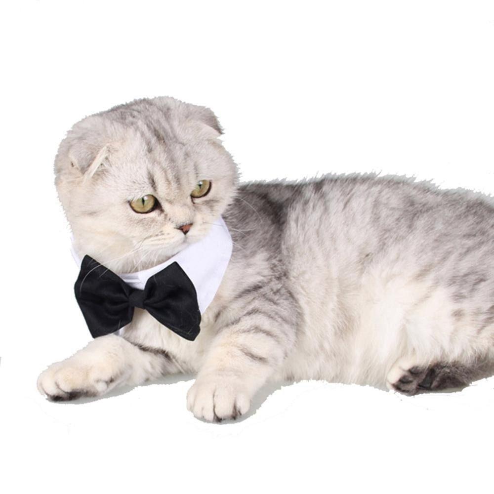 Lovely Pet Accessories Tuxedo Bowtie Dog Necktie Bow Tie Collar Formal Tie Pet Bow Tie