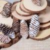 Natural Pine Cone Christmas Tree Ornaments - Handmade DIY Decor and Photography Props