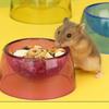 Transparent Pet Feeding Bowl Bite Resistant Rat Food Water Dish New Hamster Water Bowl  Pet Feeding