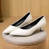 Pointed French Single Shoes Women's Kitten Heel Medium Heel 3 Cm Small Heels Thin Heel Low Heel Light Mouth High Heels G312-70