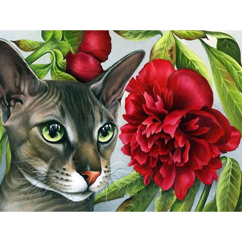 Новый 5D DIY алмазная живопись кошка цветок Алмазная вышивка животное вышивка крестиком полная круглая дрель домашний декор ручной художественный подарок