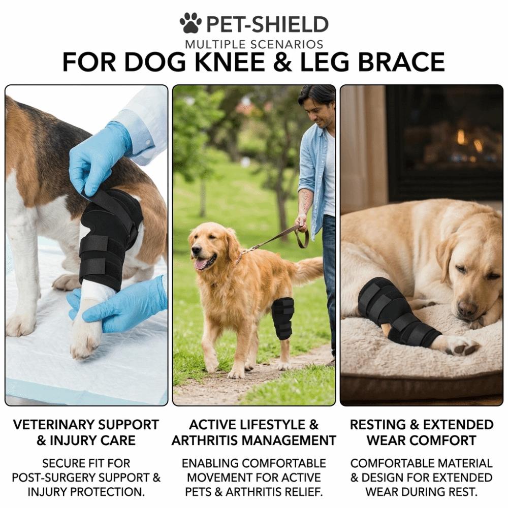 Breathable Texture Dog Leg Recovery Sleeve Adjustable Fit Secure Fastening Dog Surgery Protection Sleeve Flexible Construction