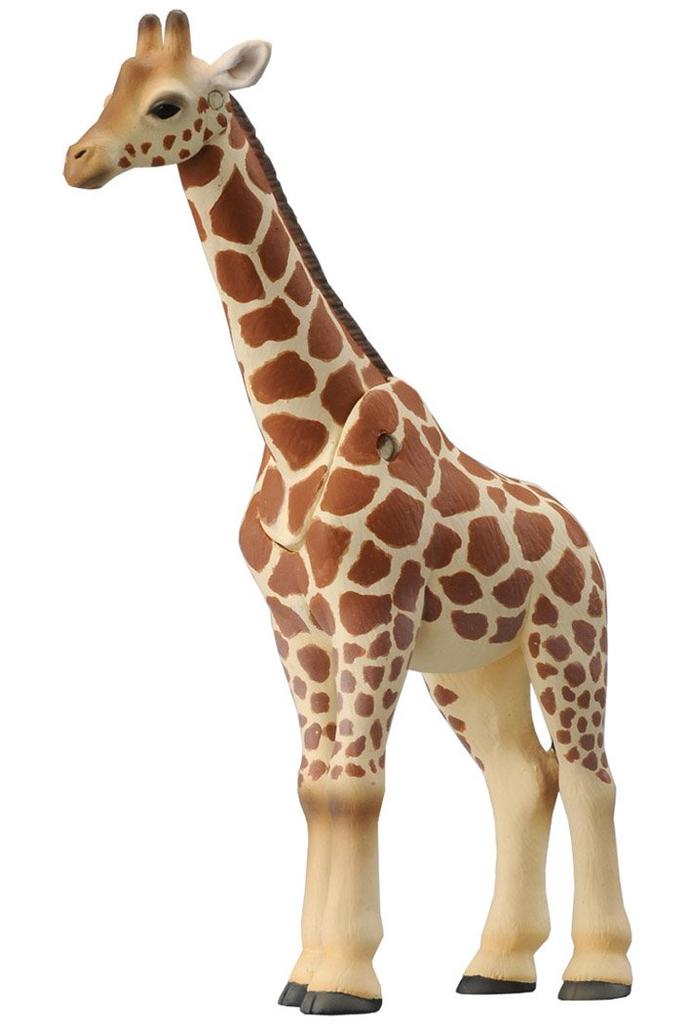 Игровой набор Ania Doki Doki Safari Park