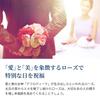 Подарок из Нью-Йорка Серьги Платина Обработанная Swaying Rose Brand Metal Гипоаллергенный Подарок Женщине Женщине