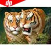 Round Rhinestone Diamond Embroidery Tiger 5d Diy Diamond Painting Handicraft Cross Stitch