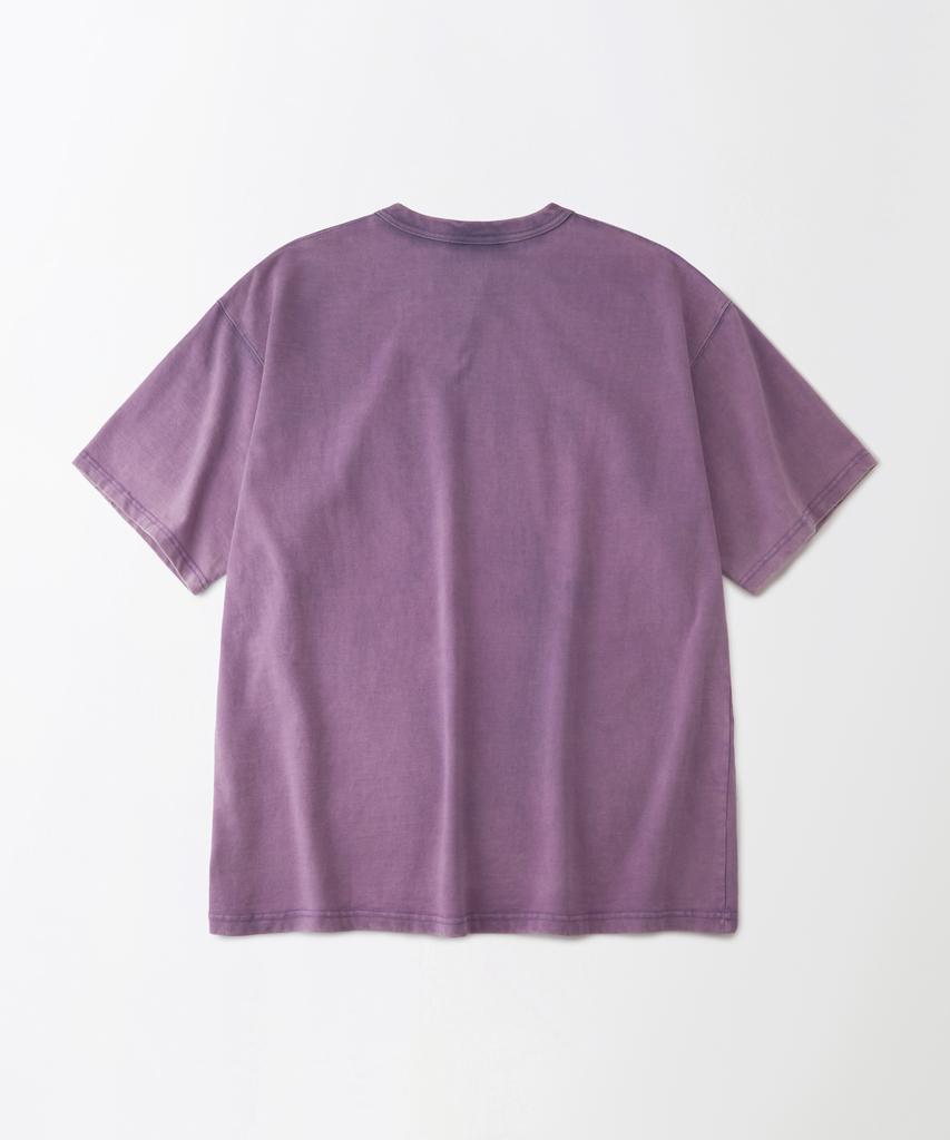 ВЫДАЮЩАЯСЯ Футболка Life Is Tee Surf Ride Tee_Винтажный Фиолетовый