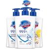 Safeguard Antibacterial Hand Wash Liquid Set