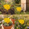 3D-printed Insect Water Cup Plastic Bee Water Dispenser Bee Water Station  Balcony
